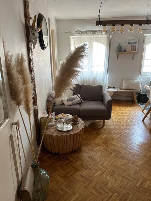 Appartement Carmes, Hypercentre Toulouse Luaran gambar